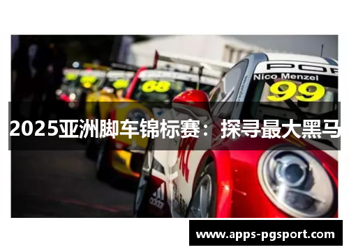 2025亚洲脚车锦标赛：探寻最大黑马