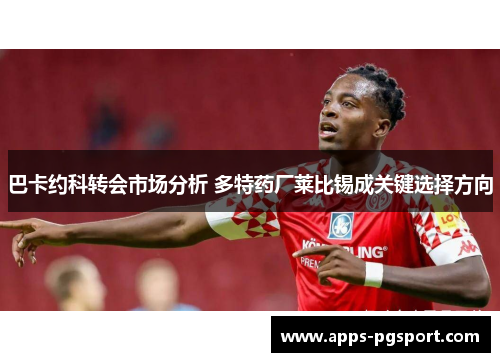 巴卡约科转会市场分析 多特药厂莱比锡成关键选择方向