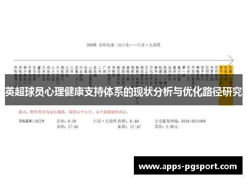 英超球员心理健康支持体系的现状分析与优化路径研究