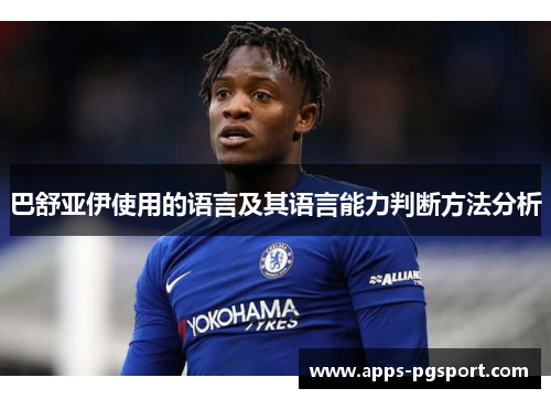 巴舒亚伊使用的语言及其语言能力判断方法分析 巴舒亚伊使用的语言及其语言能力判断方法分析