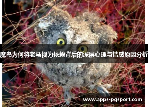 魔鸟为何将老马视为依赖背后的深层心理与情感原因分析