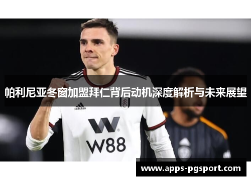 帕利尼亚冬窗加盟拜仁背后动机深度解析与未来展望